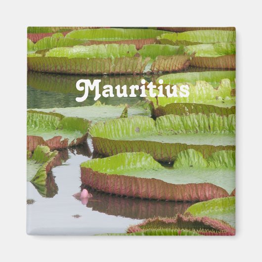 Aimant Maurice Lily Pads (Devant)