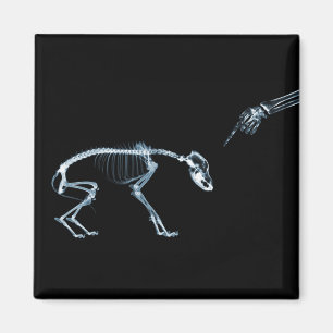 Aimant Mauvais chien Xray Squelette noir bleu