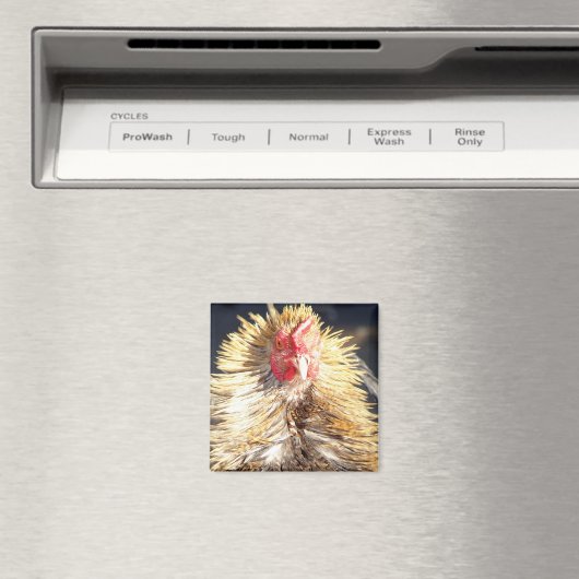 Aimant Mauvaise journée de plume (In Situ (Lave-vaisselle))