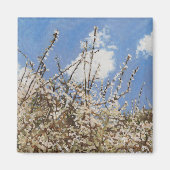 Aimant Mayflower 2012 (Devant)