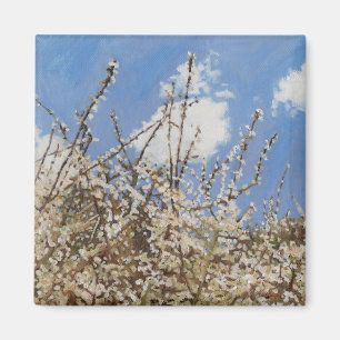 Aimant Mayflower 2012