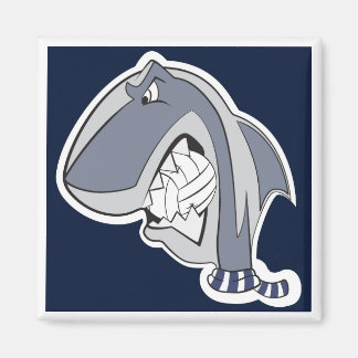 Aimant MBB '04 | Calamita