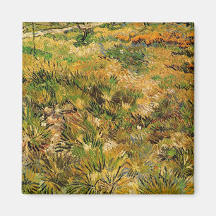 Aimant Meadow at Saint Paul Hospital by Vincent van Gogh
