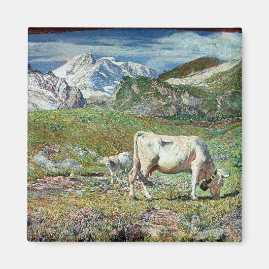 Aimant Meadows (Devant)