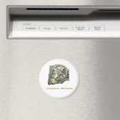 Aimant Mécanisme antikythèque (In Situ (Lave-vaisselle))