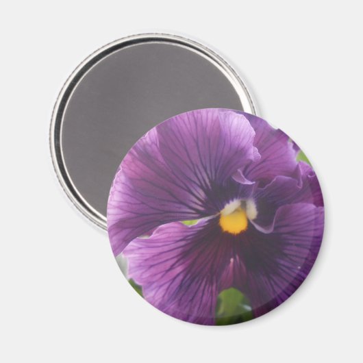 Aimant Mechteld (Recto/Verso)