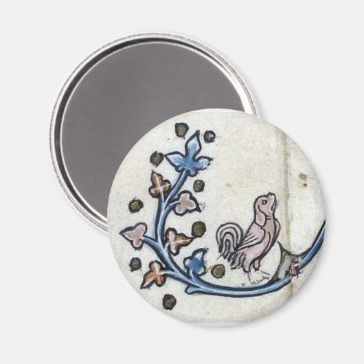 Aimant médiéval (Recto/Verso)