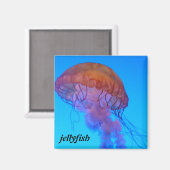 Aimant Méduse (Recto/Verso)