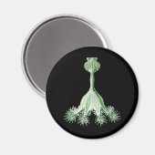 Aimant Méduse (Recto/Verso)