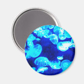 Aimant Méduse (Recto/Verso)