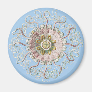 Aimant Méduse rose nautique d'Ernst Haeckel
