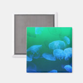 Aimant Méduse transparente (Recto/Verso)