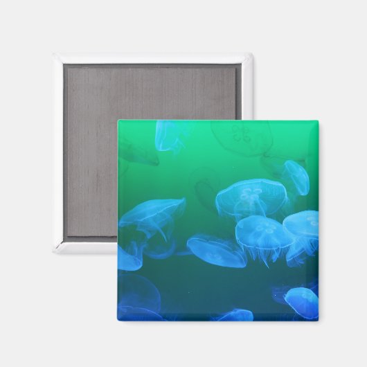 Aimant Méduse transparente (Recto/Verso)