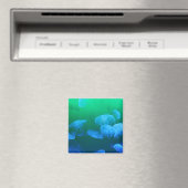 Aimant Méduse transparente (In Situ (Lave-vaisselle))