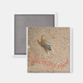 Aimant Meercats rock ! (Recto/Verso)