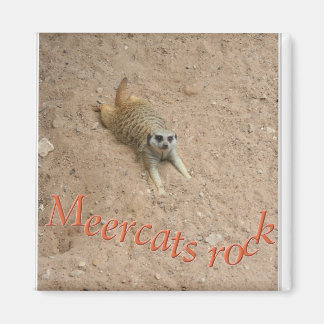 Aimant Meercats rock !