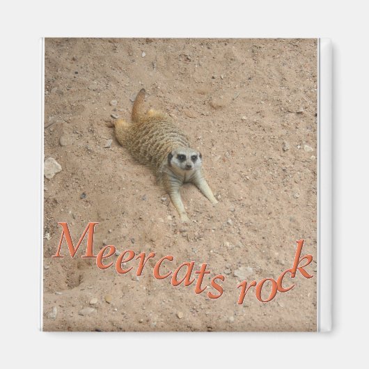Aimant Meercats rock ! (Devant)