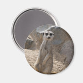 Aimant Meerkat Extraordinaire (Recto/Verso)