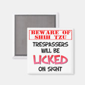 Aimant Méfiez-vous de l'aimant Carré Shih Tzu (blanc) de  (Recto/Verso)