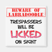 Aimant Méfiez-vous de l'aimant Labradoodle (blanc) (Devant)