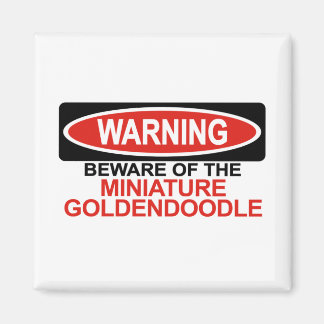 Aimant Méfiez-Vous Du Miniature Goldendoodle