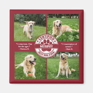Aimant Meilleur chien du monde Collage photo rouge