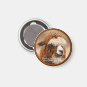 Aimant Meilleur Sourcil Unique d'Alpaca (Recto/Verso)