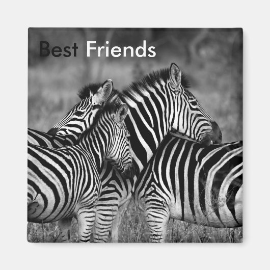 Aimant Meilleurs amis (Devant)