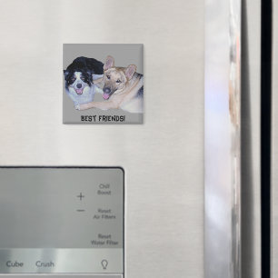 Aimant Meilleurs amis Bordure Collie & Berger allemand