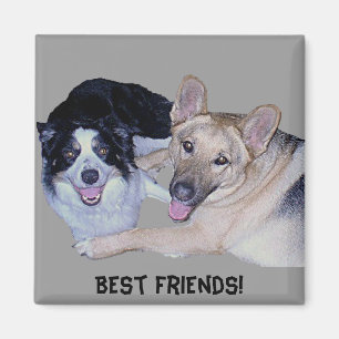 Aimant Meilleurs amis Bordure Collie & Berger allemand