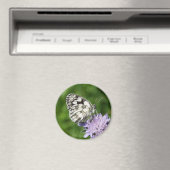 Aimant Melanargia galathea (In Situ (Lave-vaisselle))