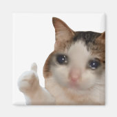 Aimant Mème Chat Pouce en l'air Ok (Devant)