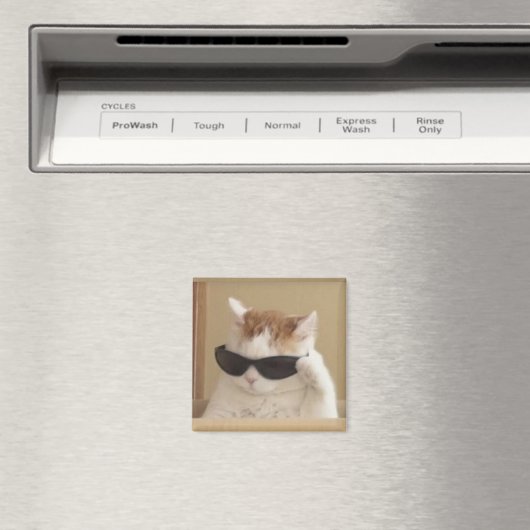 Aimant Mème de chat cool (In Situ (Lave-vaisselle))