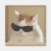 Aimant Mème de chat cool (Devant)