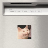 Aimant Mème de chat Cringe (In Situ (Lave-vaisselle))