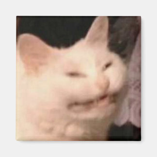 Aimant Mème de chat Cringe