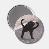 Aimant Mème de chat maudit aimanté (Recto/Verso)