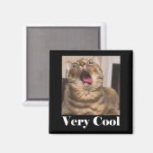 Aimant Mème de chats Graphique humour de chat idiot Drôle (Recto/Verso)