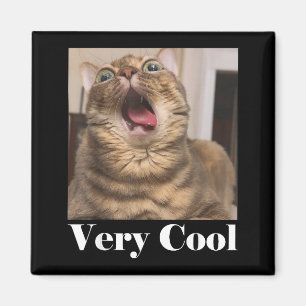 Aimant Mème de chats Graphique humour de chat idiot Drôle