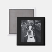 Aimant Mème de chien qui fume drôle Cigarette Mème de chi (Recto/Verso)