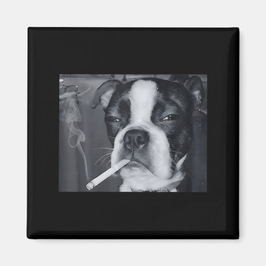 Aimant Mème de chien qui fume drôle Cigarette Mème de chi (Devant)
