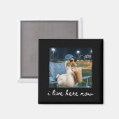 Aimant Mème de terrain de baseball Funny Goose Duck Live (Recto/Verso)