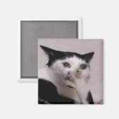 Aimant Mème du chat haletant (Recto/Verso)