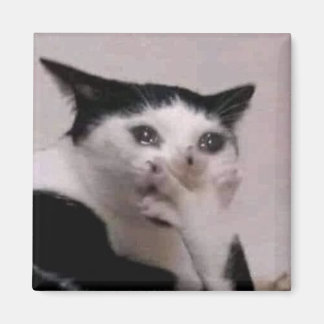 Aimant Mème du chat haletant