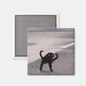 Aimant Mème du chat maudit (Recto/Verso)