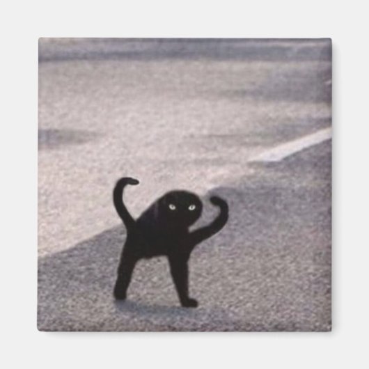 Aimant Mème du chat maudit (Devant)