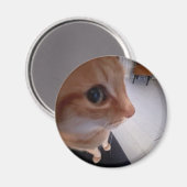 Aimant Mème du chat regard de côté (Recto/Verso)
