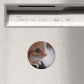 Aimant Mème du chat regard de côté (In Situ (Lave-vaisselle))