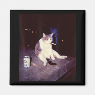 Aimant Mème Fumeur Drôle Cigarette Kitten Brainrot Silly