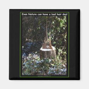 Aimant Même La Nature Peut Avoir Une Mauvaise Journée Des